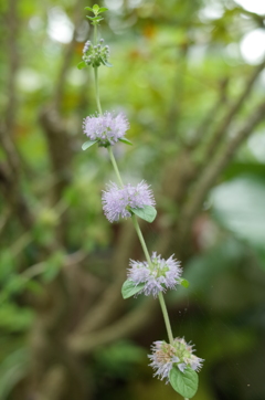 R0352682　上へ