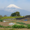 P1080521　４月 12日 富士山と畑