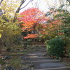 秋色の公園