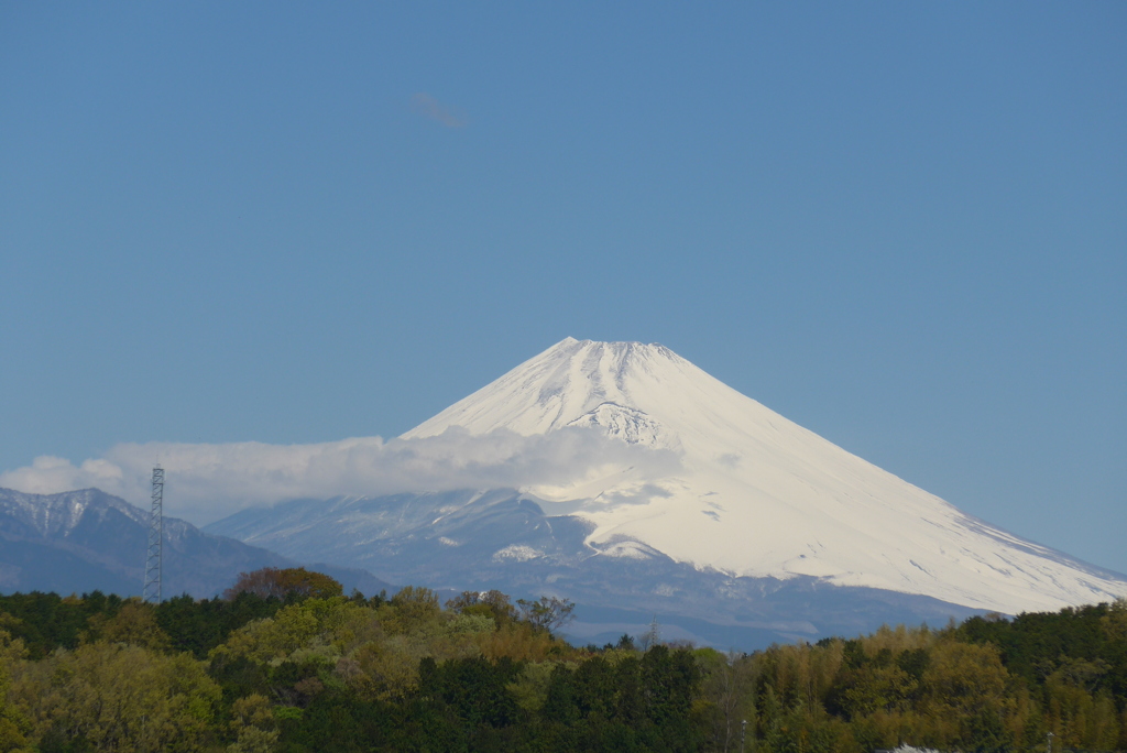P1140626　4月13日 今朝の富士山