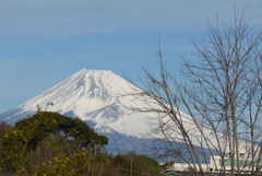 P1290094　1月15日 今朝の富士山