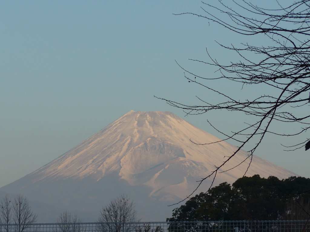 元旦の富士山