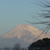 元旦の富士山