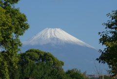 P1330089　5月24日 今朝の富士山