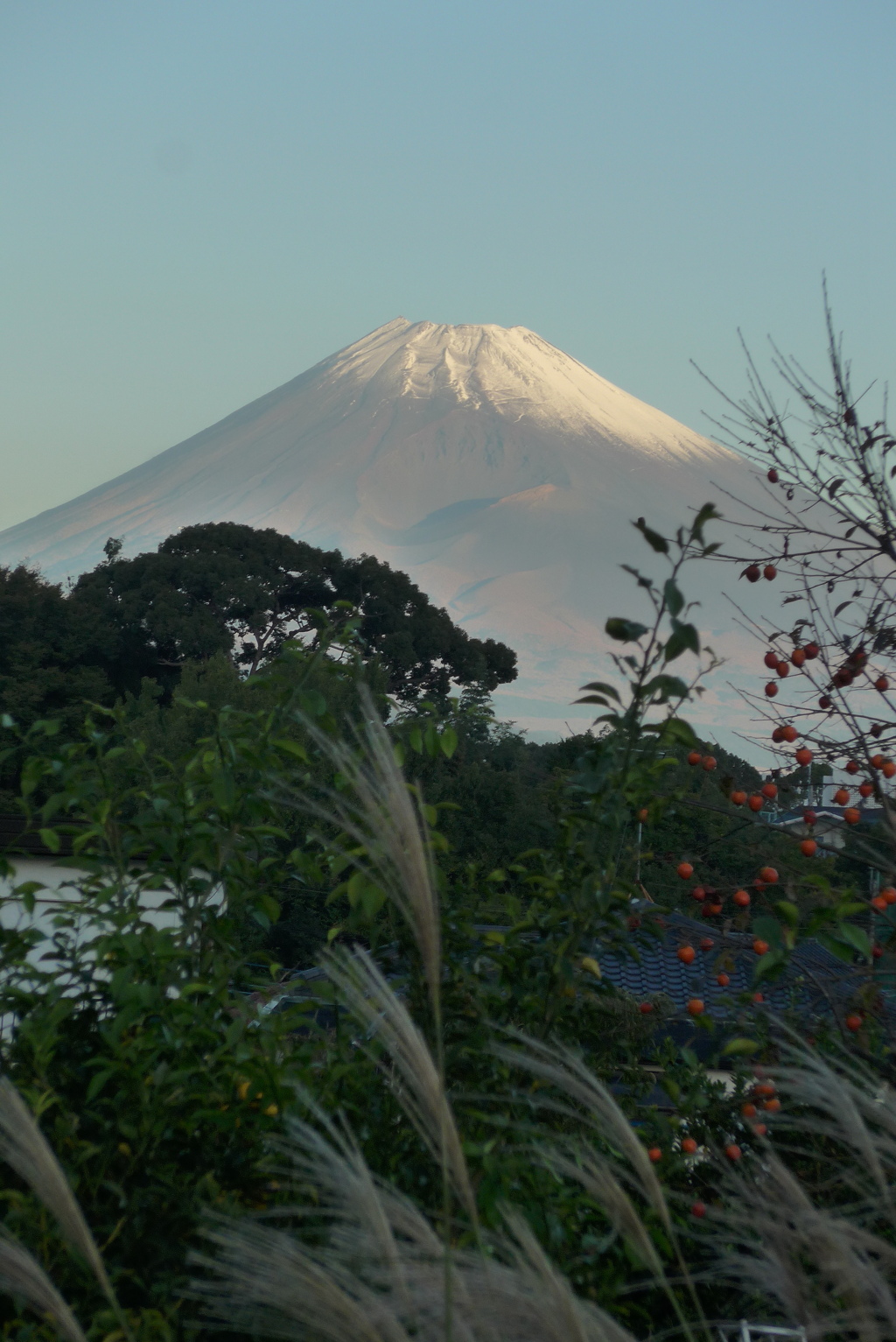 P1250415　11月4日 今朝の富士山