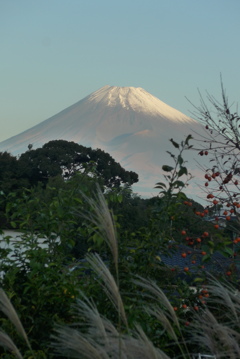 P1250415　11月4日 今朝の富士山