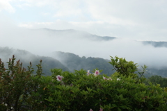 P1080024　雨上がりの朝