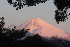 P1190646　1月5日 今朝の富士山