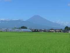 P1110209　8月22日 今日の富士山
