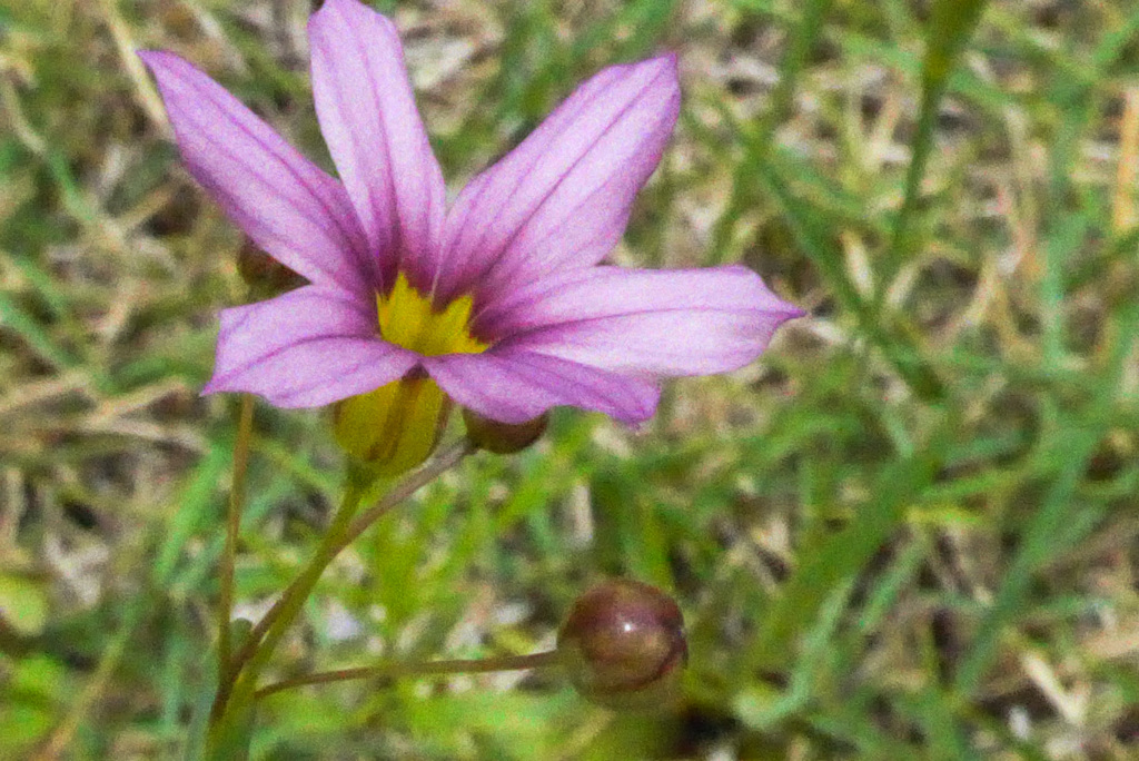 P1380478_edited　愛らしい人