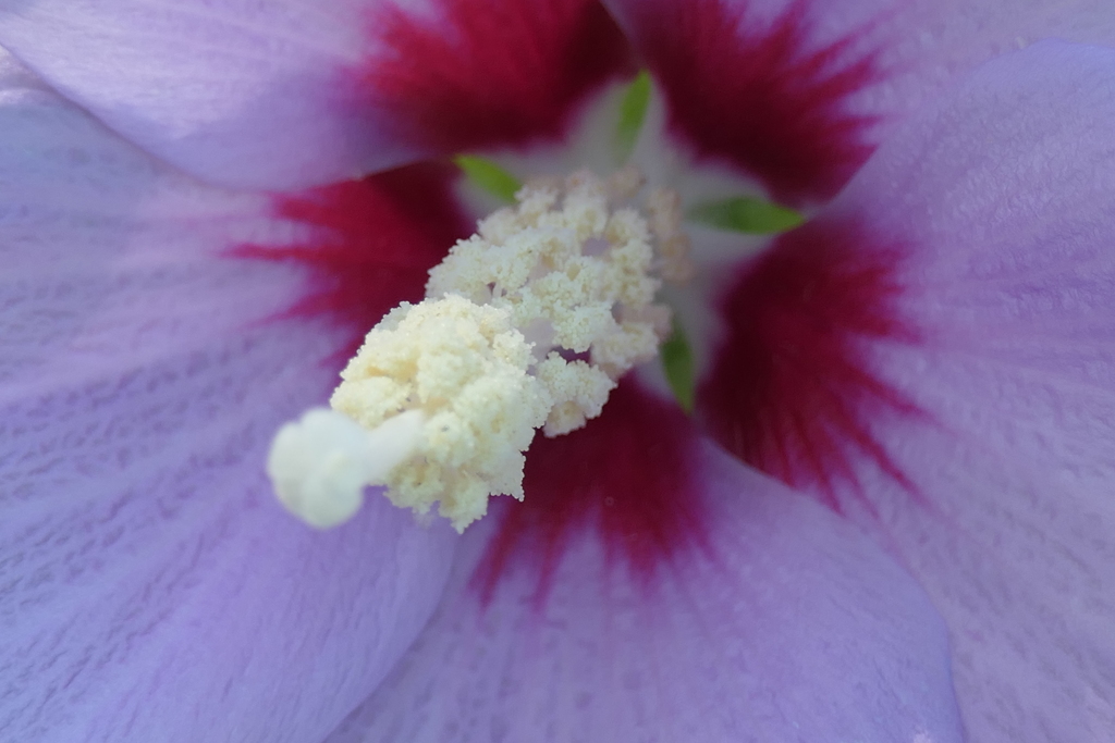 P1022718　いつもの公園で