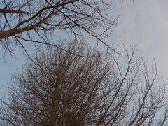 P1070291　まだ…冬