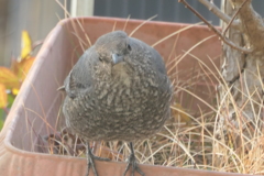 P1069752　おはよう～♪