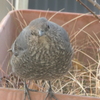 P1069752　おはよう～♪