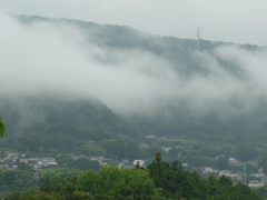 里の朝霧
