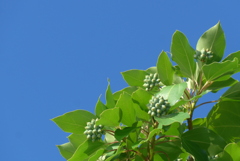 P1390097