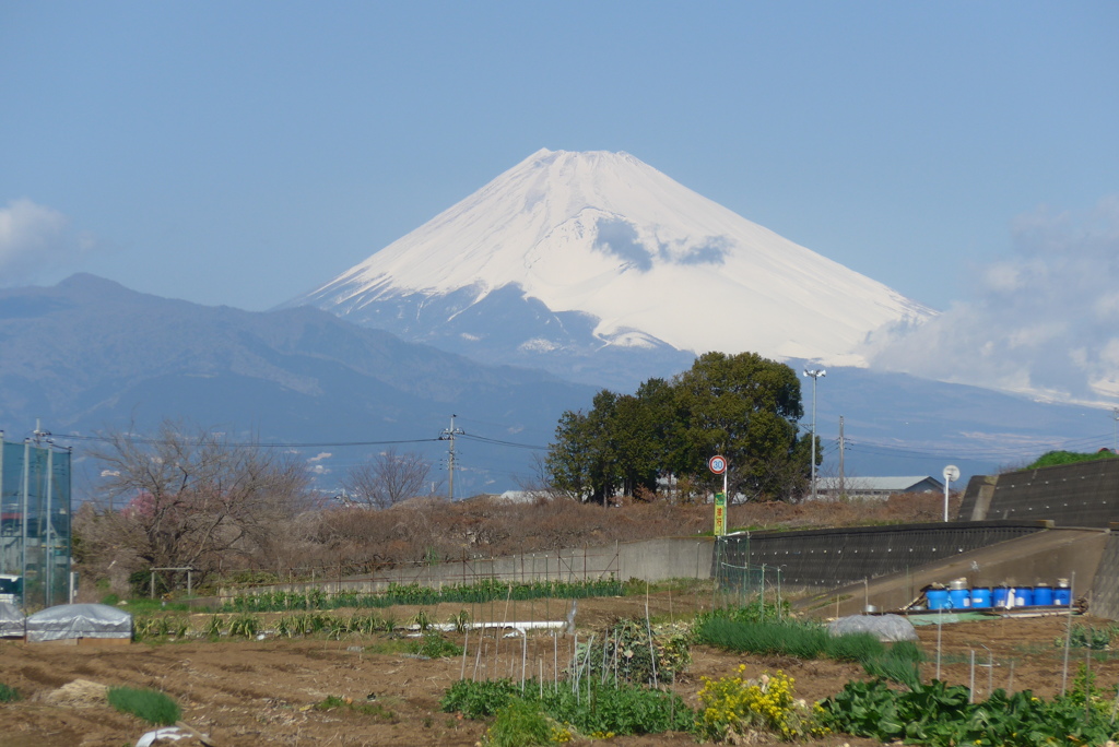 P1140073　3月12日 今日の富士山