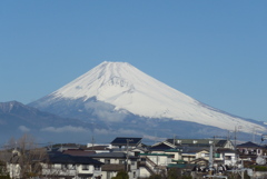 P1320083　2月11日 今日の富士山