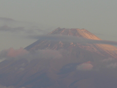 １１月１３日　朝の富士山