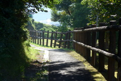 P1310295　散歩道