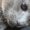 P1079974　ねむいにゃー