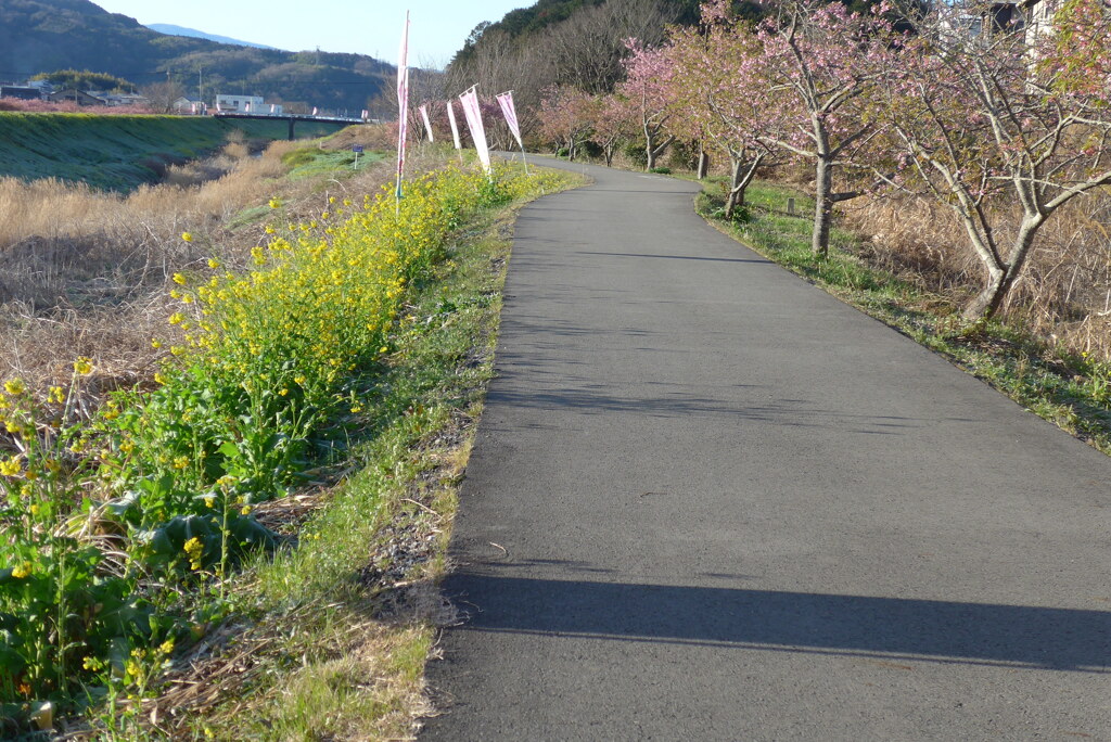 P1340964　春の散歩道
