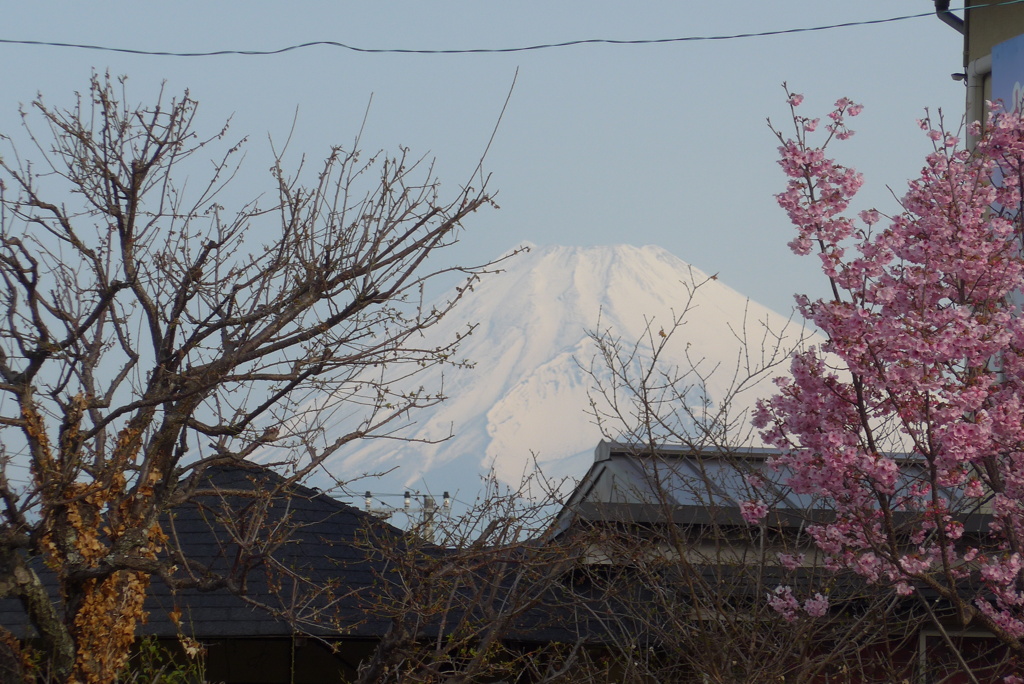 P1290751　3月25日 今朝の富士山