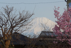 P1290751　3月25日 今朝の富士山