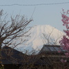 P1290751　3月25日 今朝の富士山