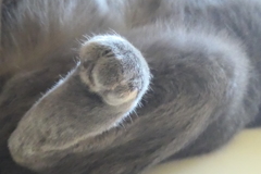 P1069153　おみ足