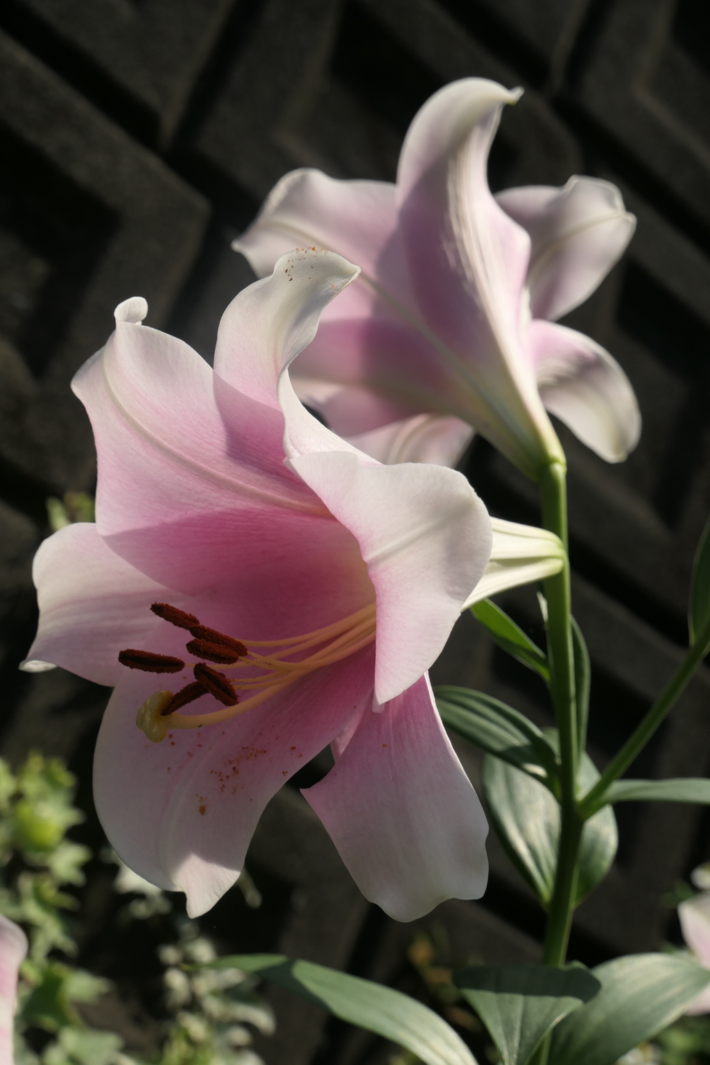 P1012383