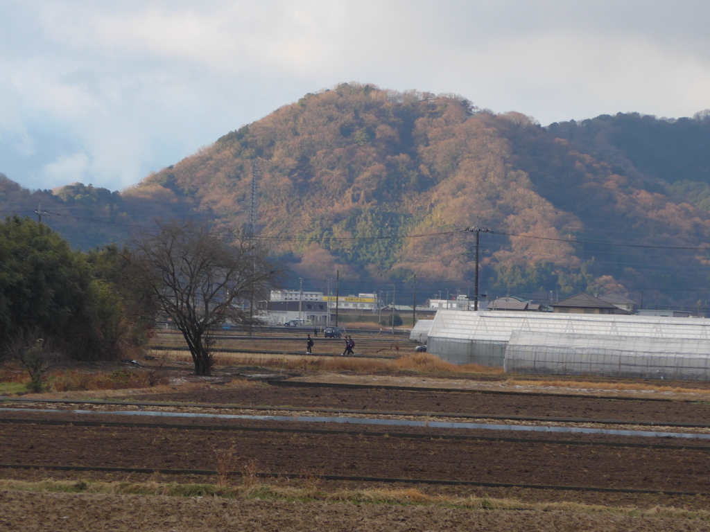 P1070123　田園風景