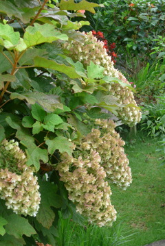 P1280022　終わりの頃