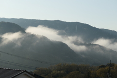 P1079840　雨上がりの朝