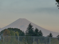 今朝の富士山