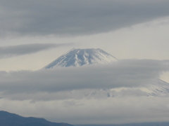 11月20日　朝の富士山