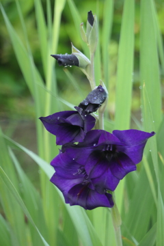 P1012468
