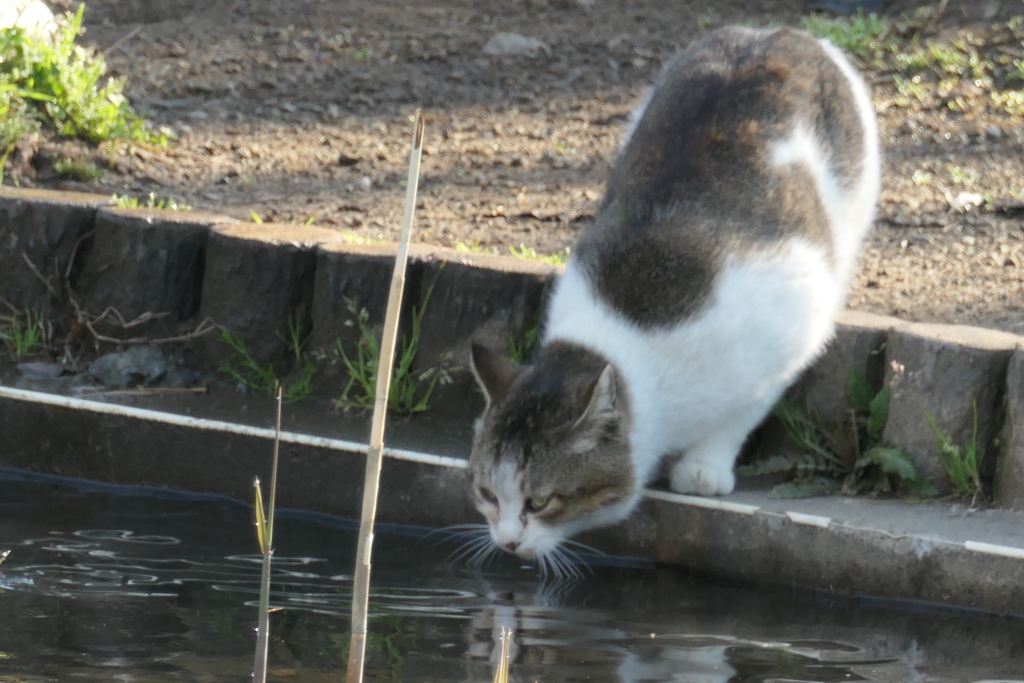 P1000892　一休み