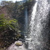 P1070230　熱海梅園にて