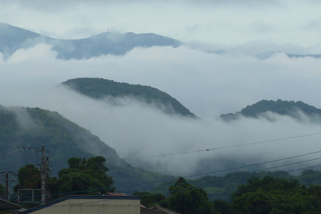 P1360437　雨上がりの風景