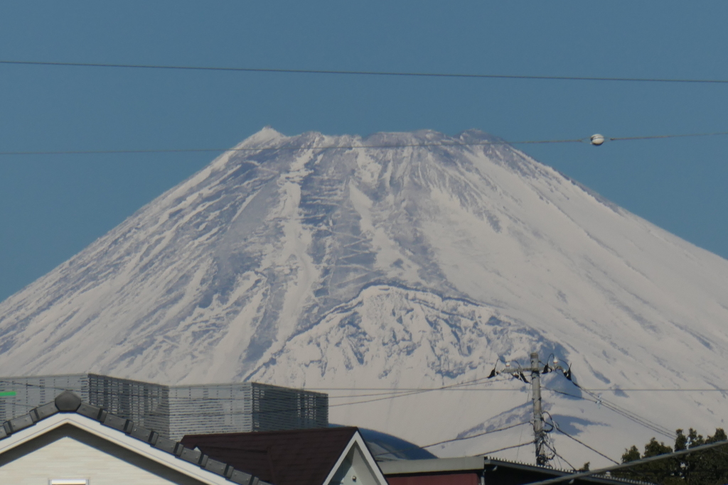 P1000680　1月31日 今朝の富士山