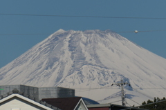 P1000680　1月31日 今朝の富士山