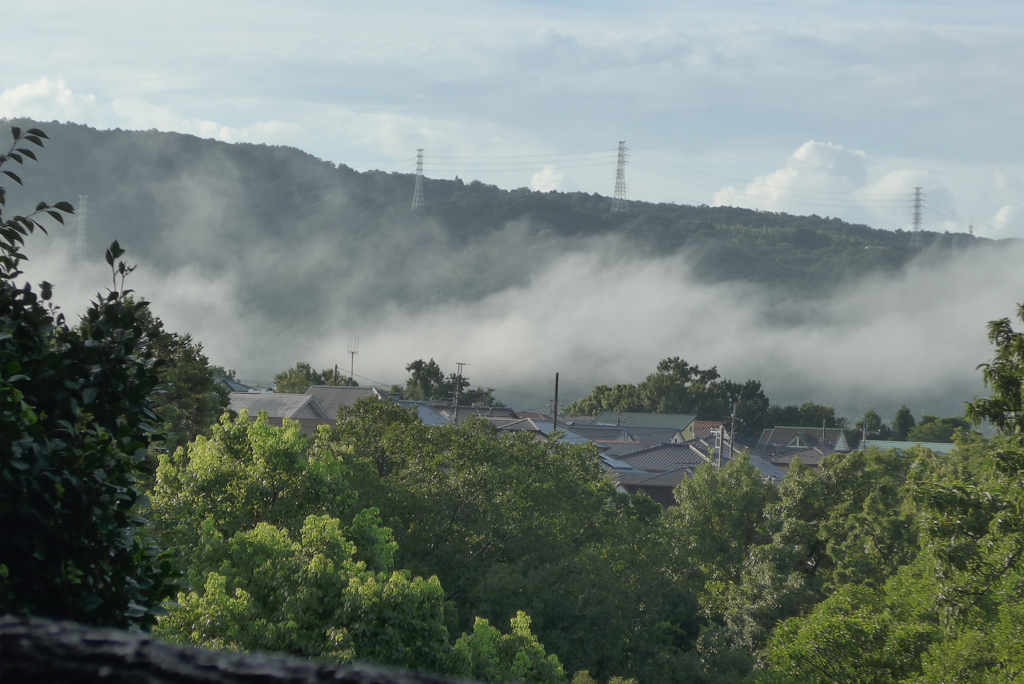 P1360646　雨上がりの朝