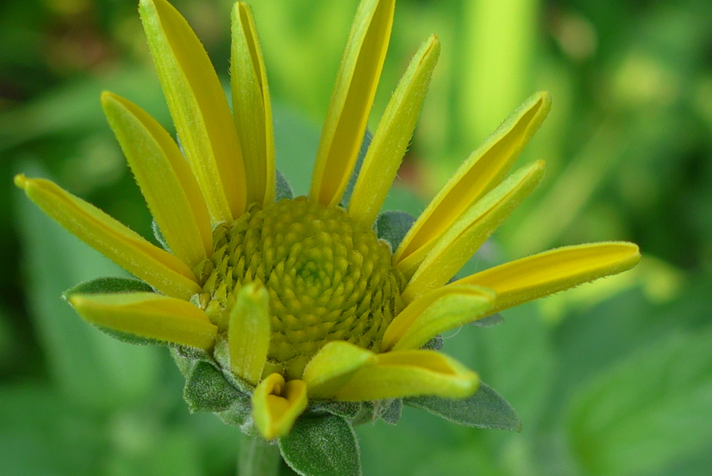 P1160583　夏の始まり？