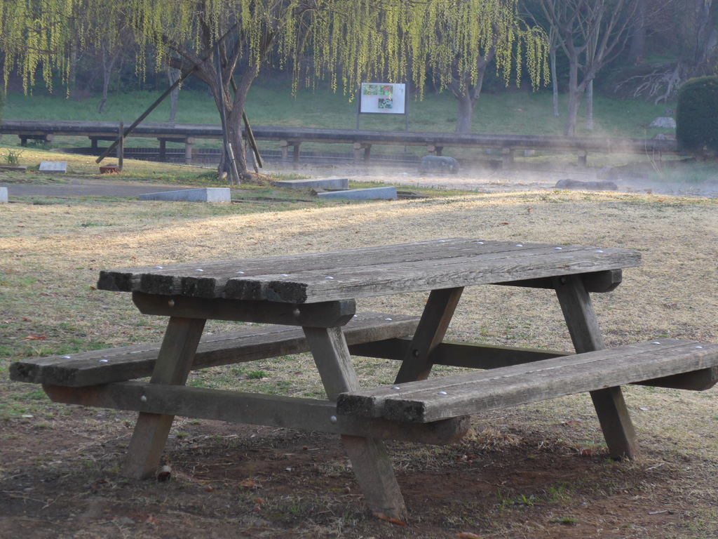 P1070744　朝の公園で…