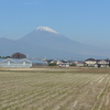 P1120842　11月28日 今日の富士山と田圃