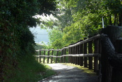 P1360647　夏の散歩道
