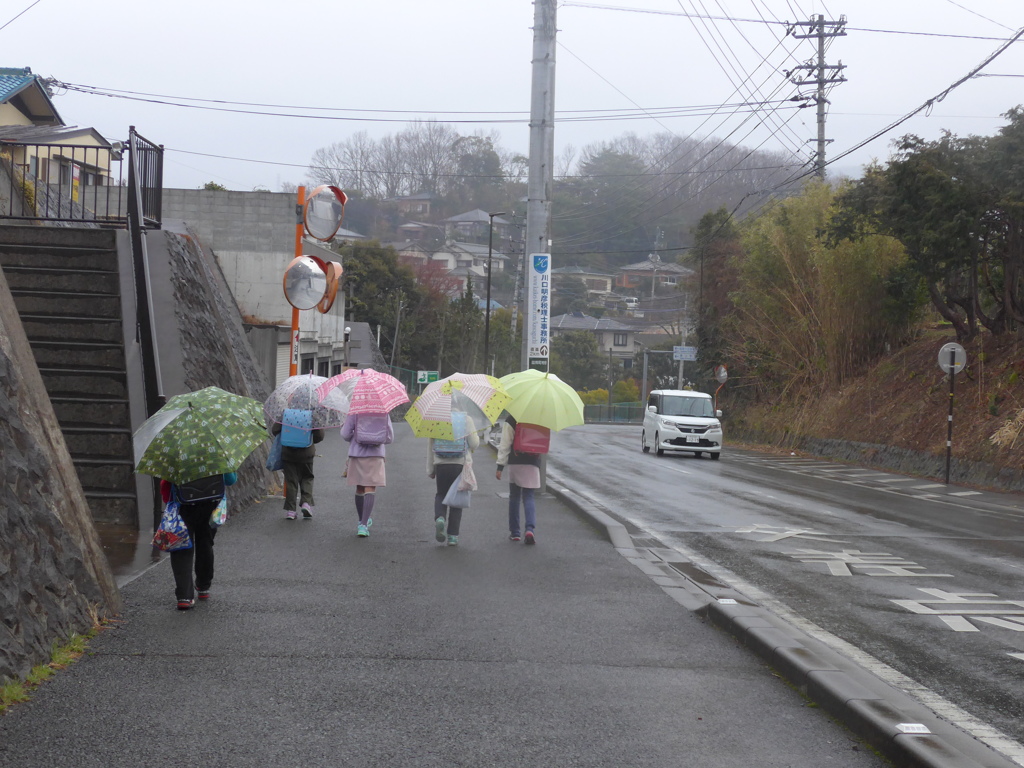 P1070516　雨の朝