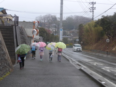 P1070516　雨の朝