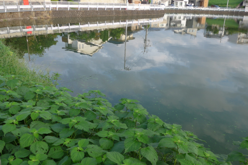 P1240606　映り込み